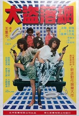 大盗落网封面图