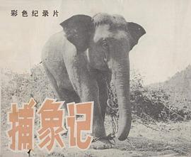 捕象记封面图