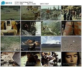 甜蜜与荒蛮封面图