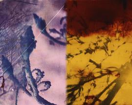 港口城市封面图