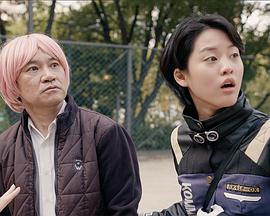 코스모스封面图