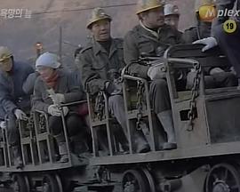 욕망의 늪封面图