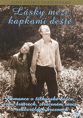 雨水中的爱情封面图