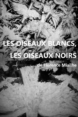 白鸟，黑鸟封面图