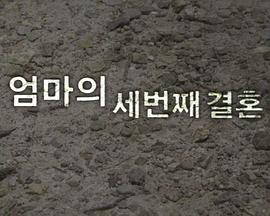 妈妈的第三次婚姻封面图