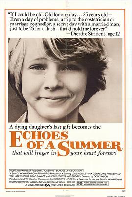 夏日回响封面图