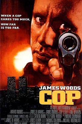 铁警争锋封面图