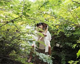 未来奇案封面图