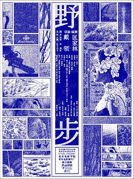 野步封面图