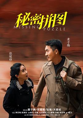 秘密拼图封面图