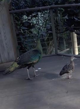 坐着吃饭睡觉封面图