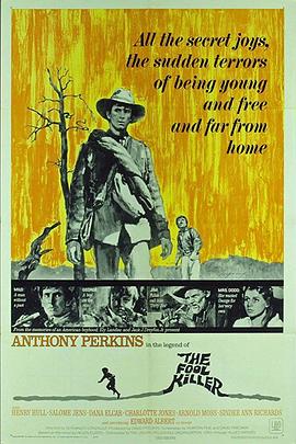 傻子杀手封面图