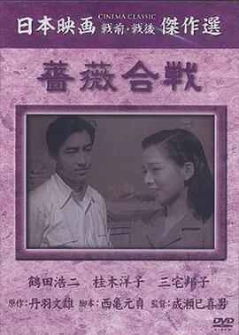 蔷薇合战封面图