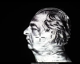 重量与欲望封面图