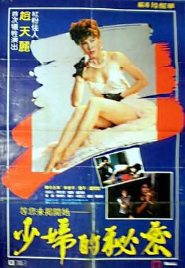 少妇的秘密封面图