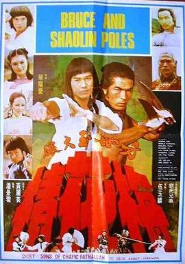 方世玉大破梅花桩封面图