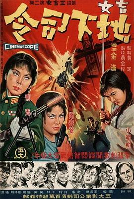 盲女司令封面图