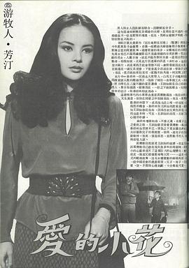 爱的小草封面图