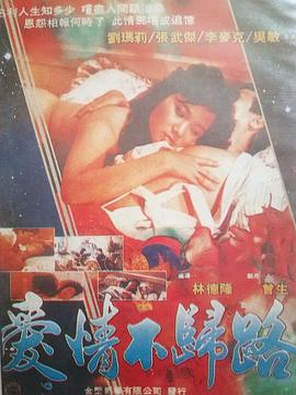 愛情不歸路封面图