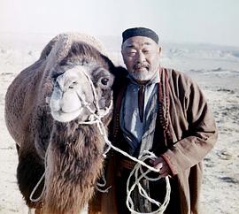 天使的消亡封面图