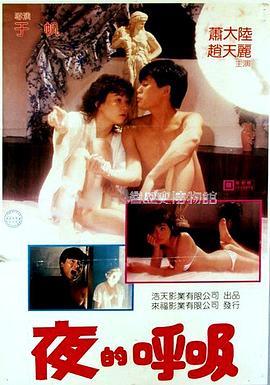 夜的呼吸封面图