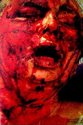 Exhumiert und Beschnitten封面图