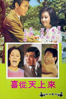 喜从天上来封面图