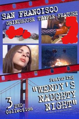 温迪的淘气之夜封面图