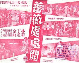 蔷薇处处开封面图