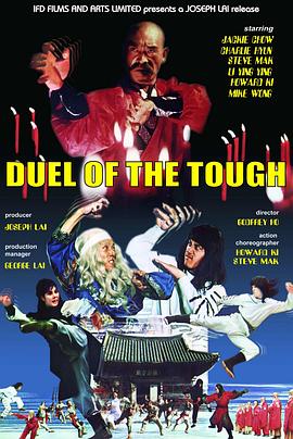 神腿迷踪手封面图