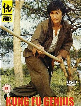 天才功夫封面图