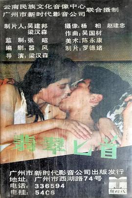 翡翠匕首封面图