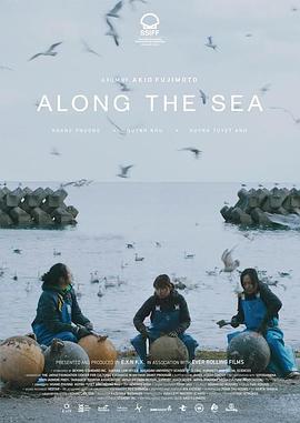 海边的女人封面图