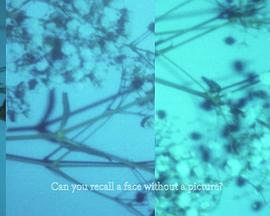 局部失明封面图