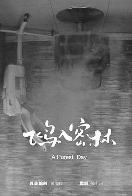 飞鸟入密林封面图