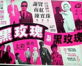 黑玫瑰与黑玫瑰封面图