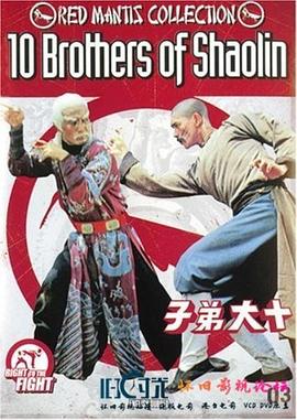 少林十虎封面图