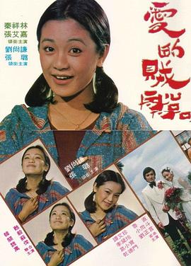 爱的贼船封面图