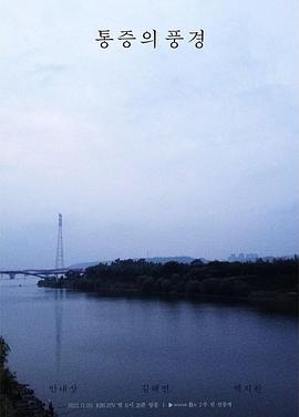 疼痛的风景封面图