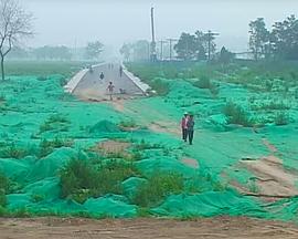 绿色场景中的人物调度封面图