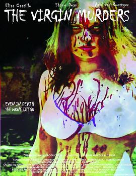 神圣的杀手封面图