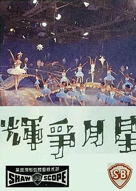 星月争辉封面图