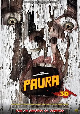 Paura 3D封面图