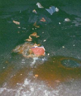 临行最后一杯酒封面图