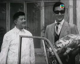 春残花未落封面图