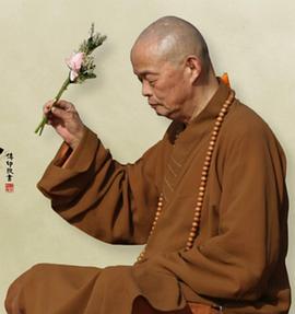 生活禅者封面图