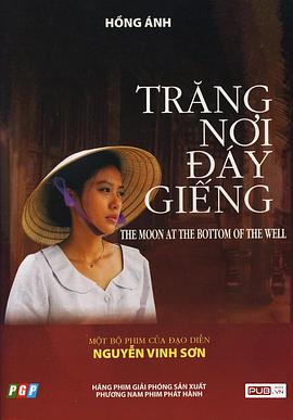 井底之月封面图