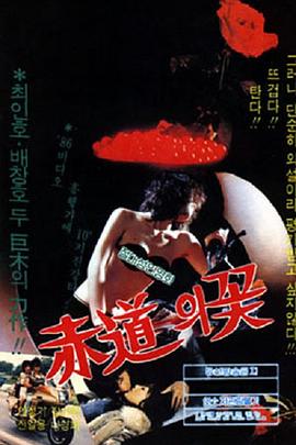 赤道之花封面图