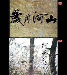 岁月河山之阿花别哭封面图