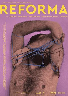 体型革新封面图